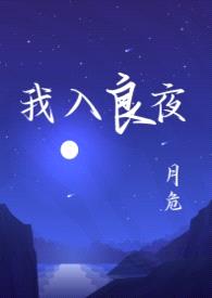 我入良夜（强取豪夺）